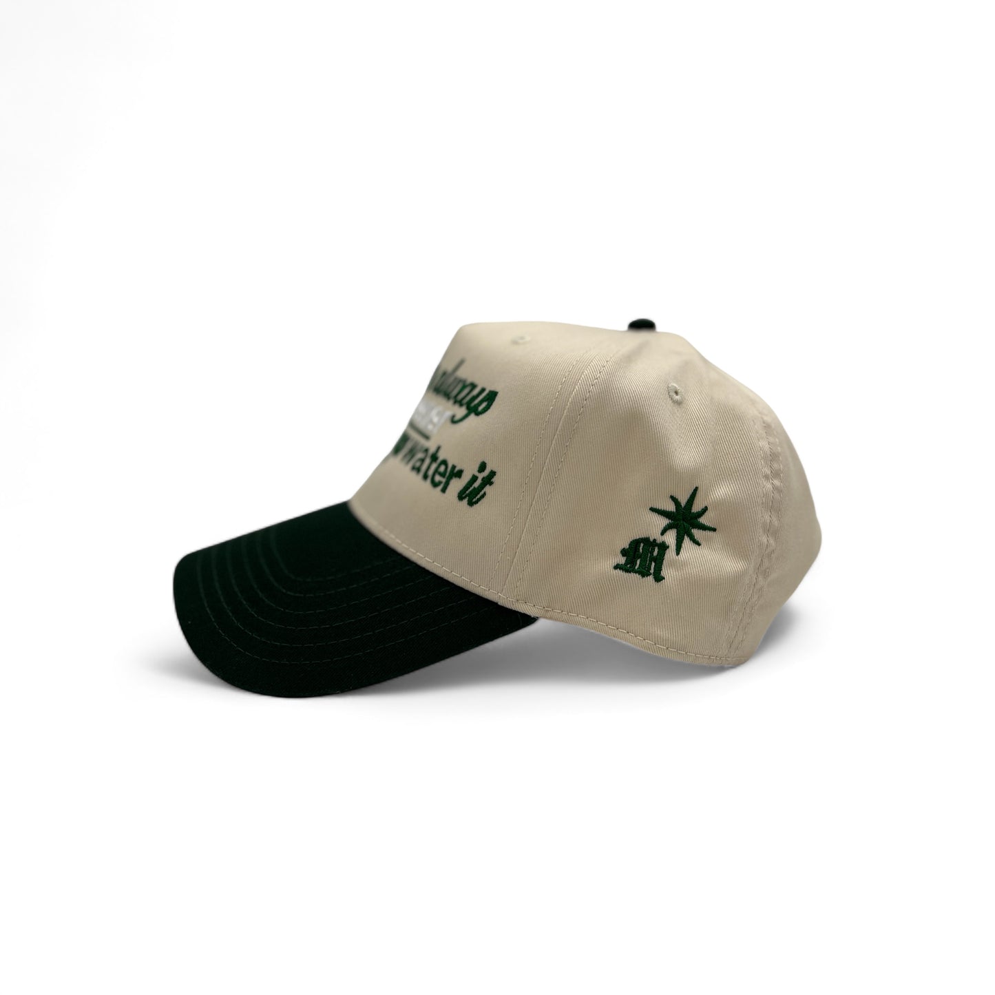 “The Grass is Always Greener Where You Water It” SnapBack