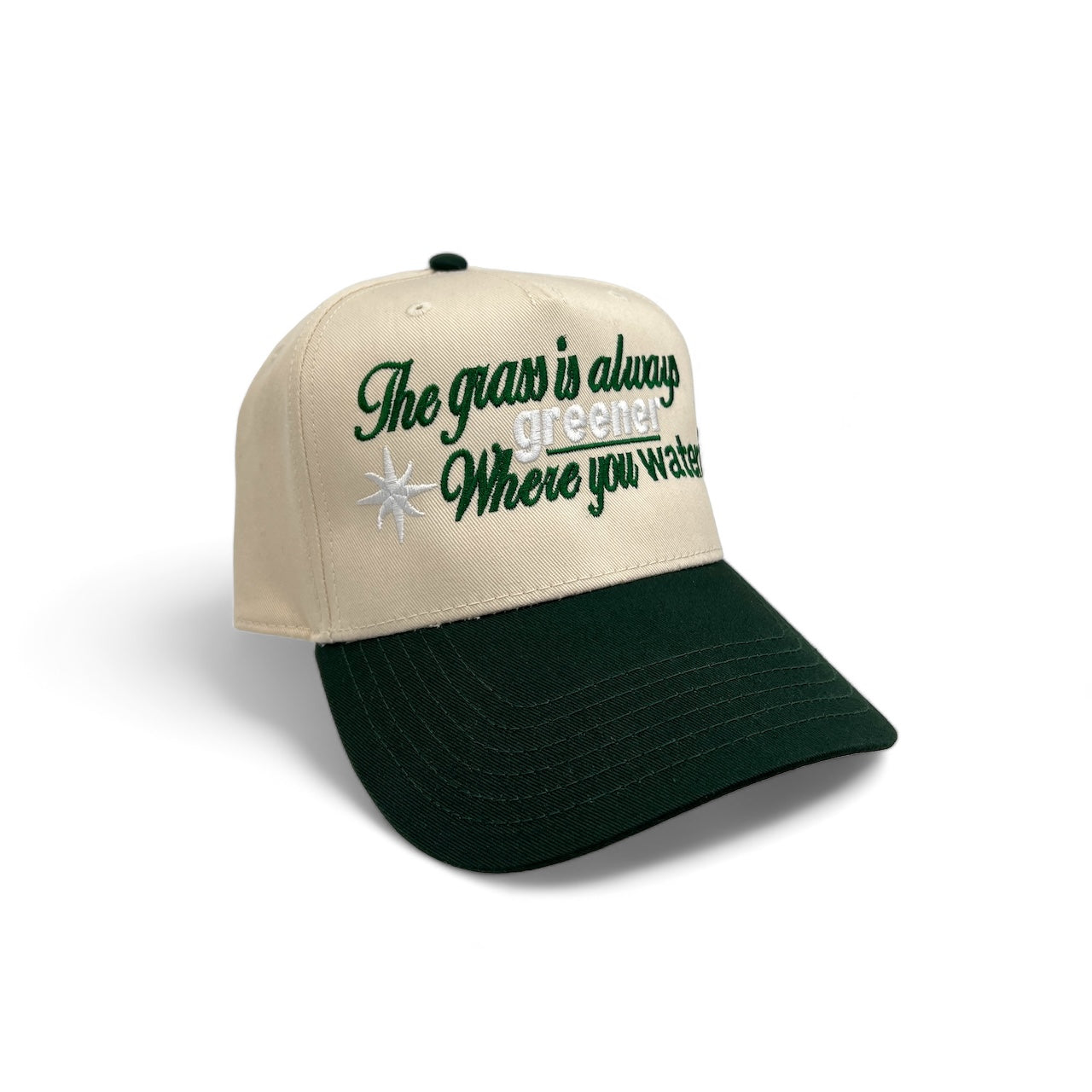 “The Grass is Always Greener Where You Water It” SnapBack