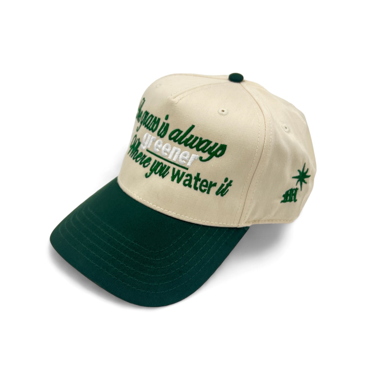 “The Grass is Always Greener Where You Water It” SnapBack